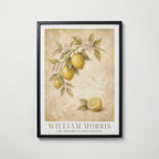William Morris Lemon Branch in Bloom Poster – svart ram