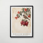 William Morris Sparrow and Pomegranate Poster – svart ram