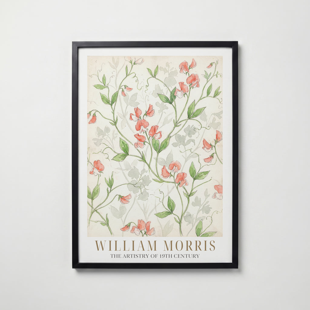 William Morris Sweet Pea Watercolour Study Poster – svart ram