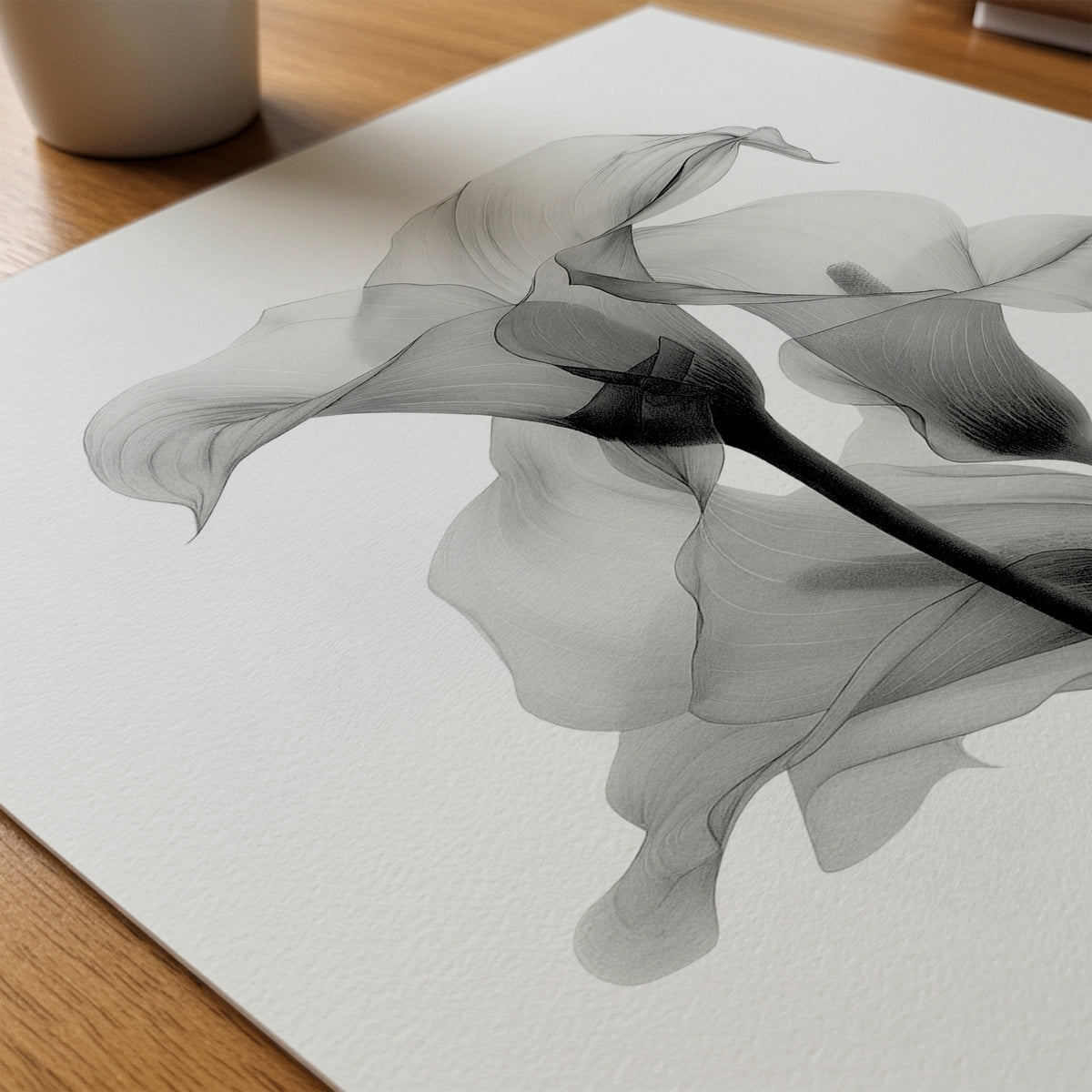 Translucent Calla Poster – närbild på papper