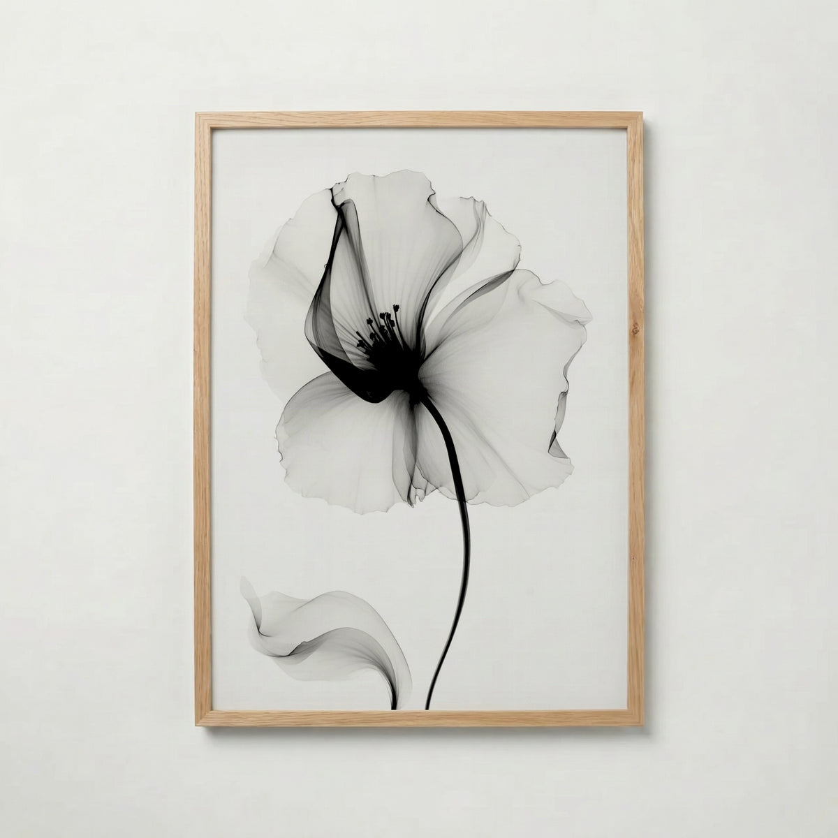 Veiled Poppy Bloom Poster – ekram