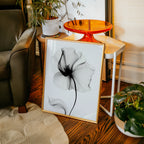 Veiled Poppy Bloom Poster – i rum 2