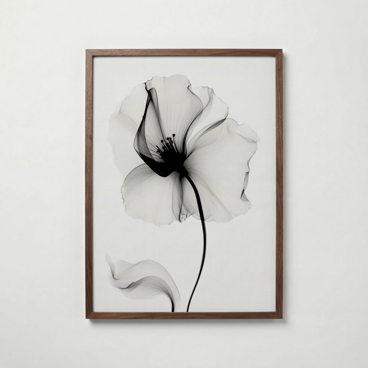 Veiled Poppy Bloom Poster – valnötsram