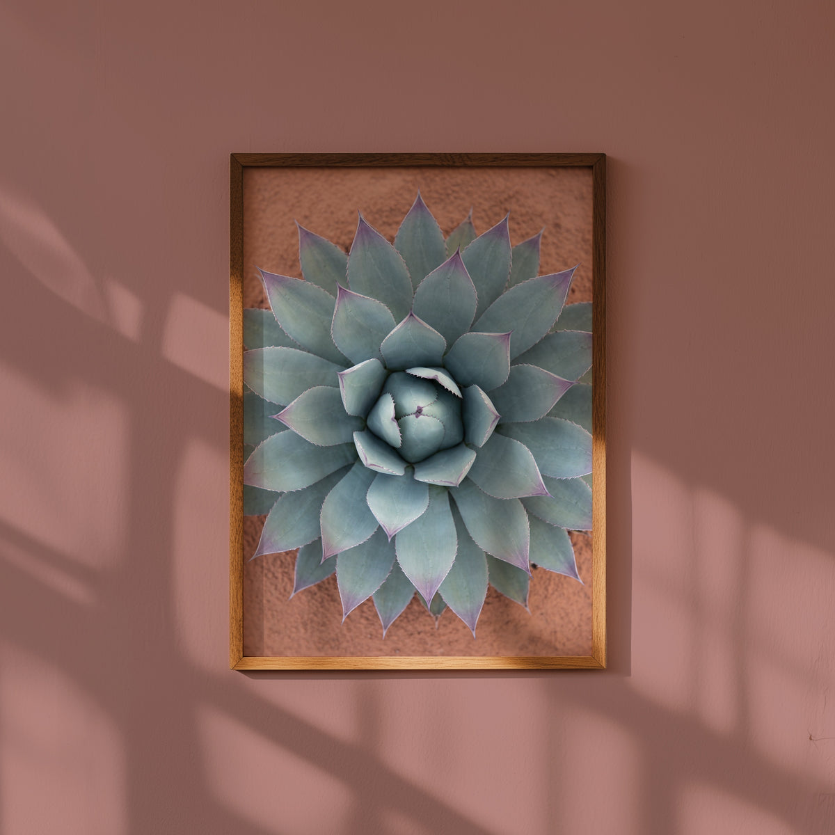 Sage Rosette Poster - blagron agave i inrett rum, leverans 1-3 dagar