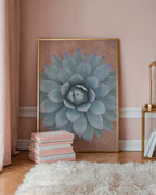Sage Rosette Poster - botaniskt agavemotiv ovanfor mobel, tryckt i Sverige