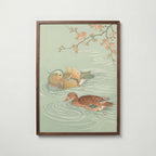 Spring Waters Poster – japanskt träsnitt med två mandarinänder och blommande gren i celadon och persika i valnötsram, fri frakt över 499 kr